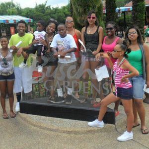 Meet your Posher, Arerion